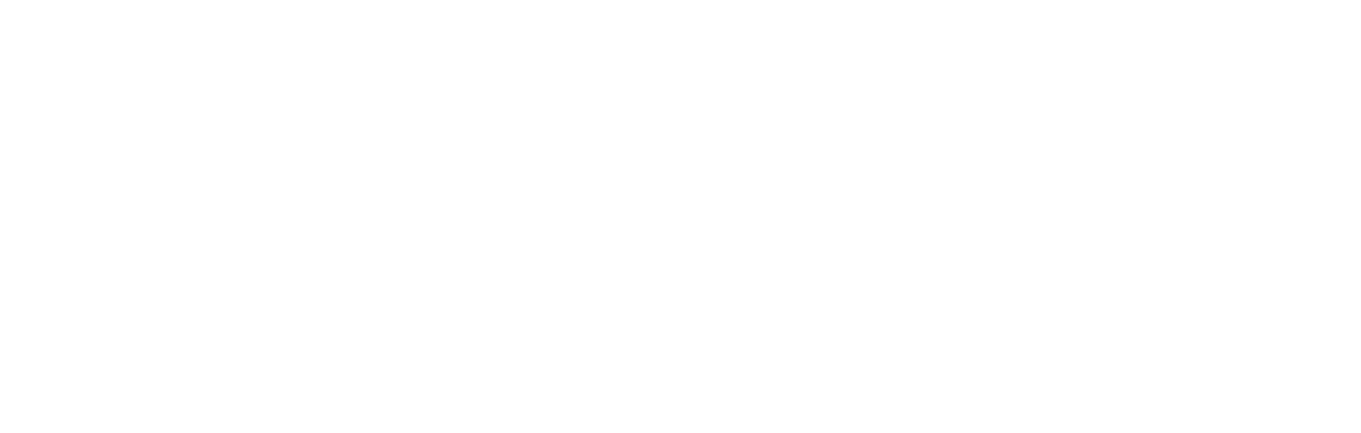 MTM Technologies
